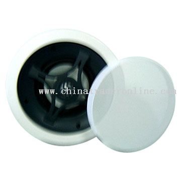 In-Ceiling Speaker